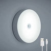 Motion Sensor LED Night Light - Auto-On Light for Closets & Hallways