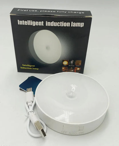 Motion Sensor LED Night Light - Auto-On Light for Closets & Hallways