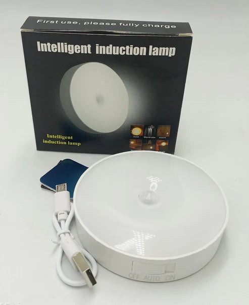 Motion Sensor LED Night Light - Auto-On Light for Closets & Hallways